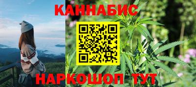 гидра Моздок