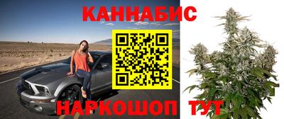 гидра Моздок
