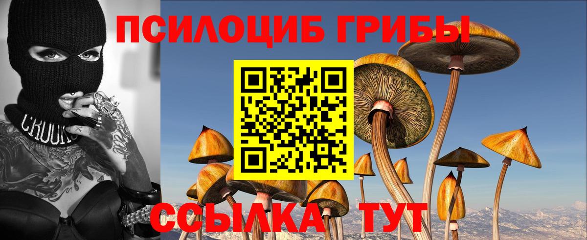 Галлюциногенные грибы Magic Shrooms Берёзовский